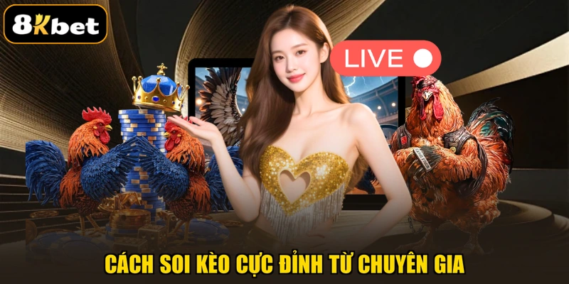 Cách soi kèo cực đỉnh từ chuyên gia
