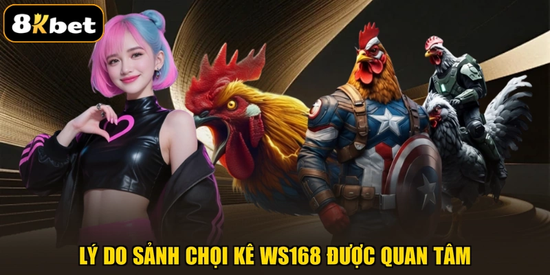 Lý do sảnh chọi kê WS168 được quan tâm