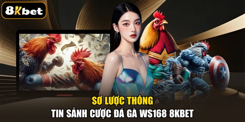 Sơ lược thông tin sảnh cược đá gà WS168 8KBET