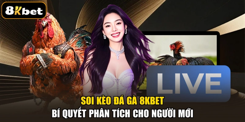 Soi Kèo Đá Gà 8KBET - Bí Quyết Phân Tích Cho Người Mới